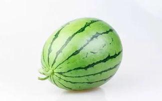 沫宝吃的大瓜,幕后真相曝光