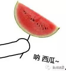 红领巾今日吃瓜吃大瓜